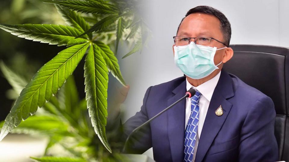 Recriminalising Cannabis Thailand