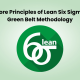 Core Principles of Lean Six Sigma Green Belt Methodology