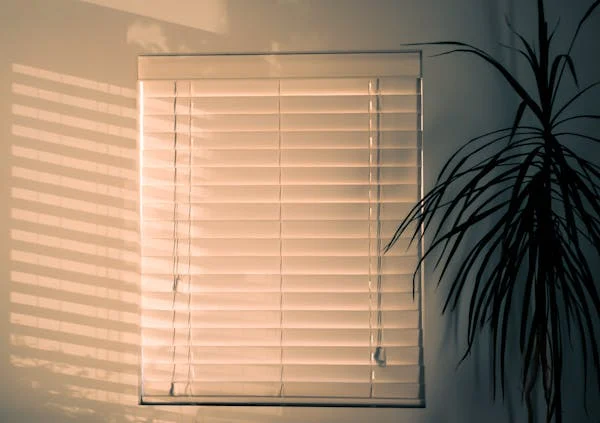 Cordless Cellular Shades