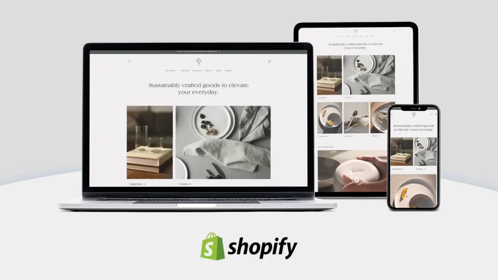 Shopify Stores