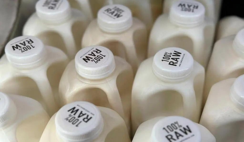 Bird Flu In US Dairy Cows. Raw Milk Drinkers Don't Back Down CTN News