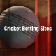 How to Place Your First Bet on Online IPL Betting Sites in India? Expert Guidev
