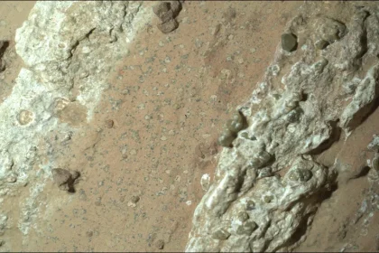 NASA's Perseverance Rover Scientists Discover Interesting Mars Rock