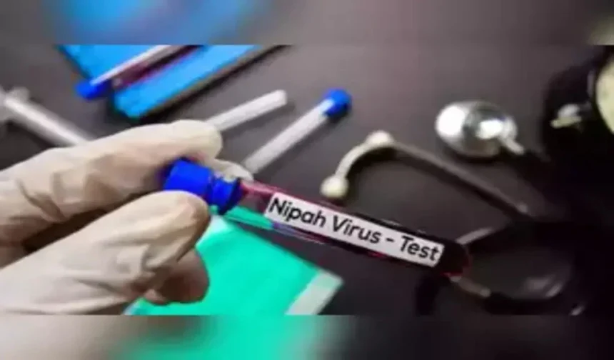 Nipah Virus