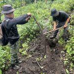 Soldiers in Chiang Rai Unearth Telecom Cables