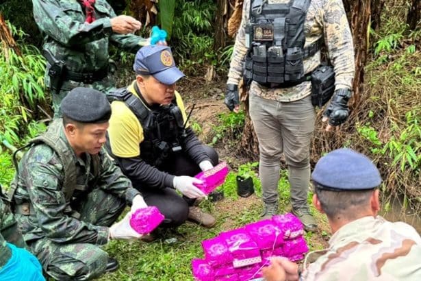 approximately 15kg of crystal meth (Ya ice) in a forested area hidden under banana leaves