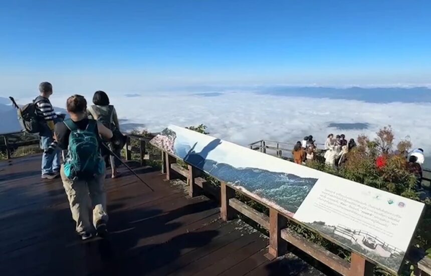 Doi Inthanon, Kiew Mae Pan nature trail, Chiang Mai