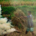 Slash and Burn Agriculture in Chiang Rai Province