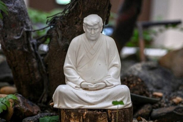 Chinese Artists Cashes in on Trump Zen-like Figures