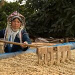 Fair Trade Coffee from Chiang Rai