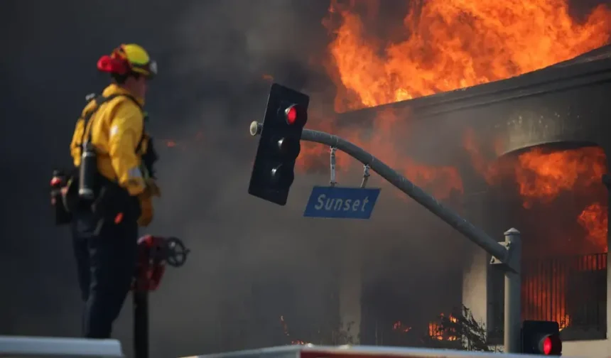 Los Angeles Wildfires Spread to Hollywood Hills: 5 Dead, Hundreds of Homes Destroyed