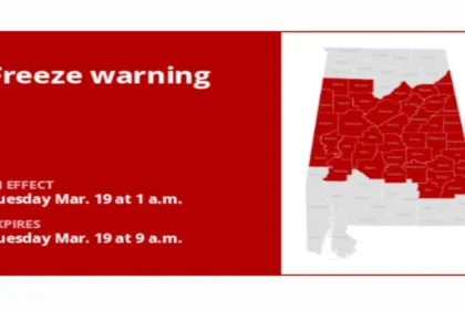 Freeze Warning