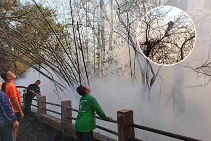 Chiang Rai Man Escapes Death After Starting Fire