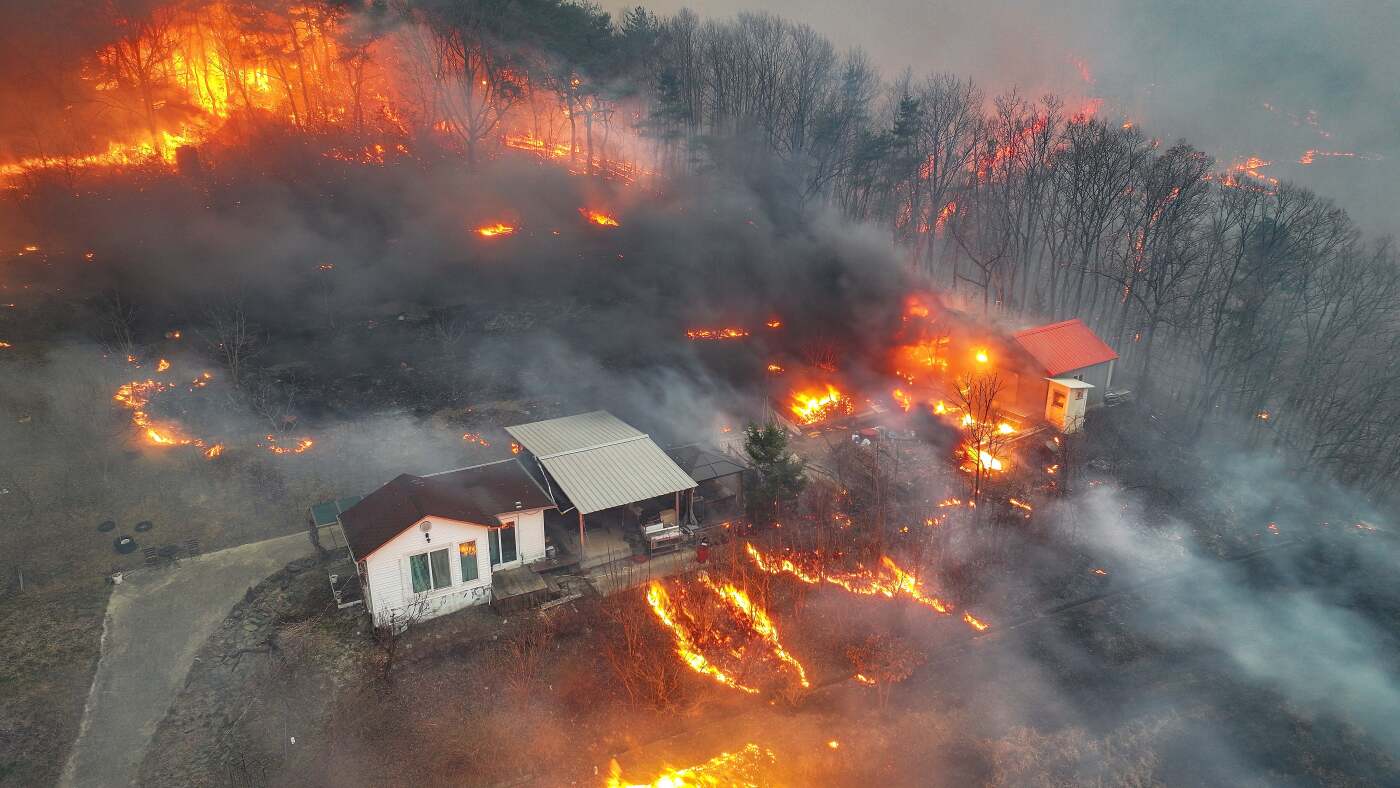 South Korea Wildfires: 24 Dead