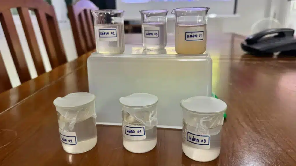 arsenic mae kok river