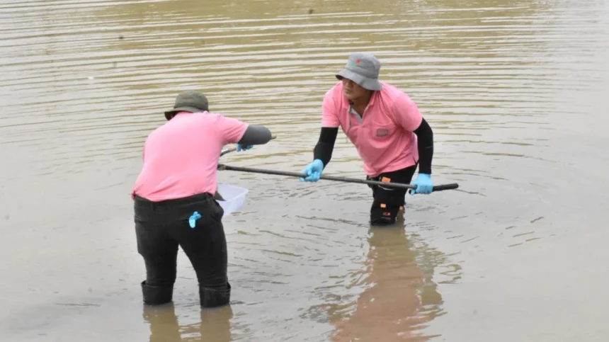 Chiang Rai Tests Kok River for Cyanide Contamination
