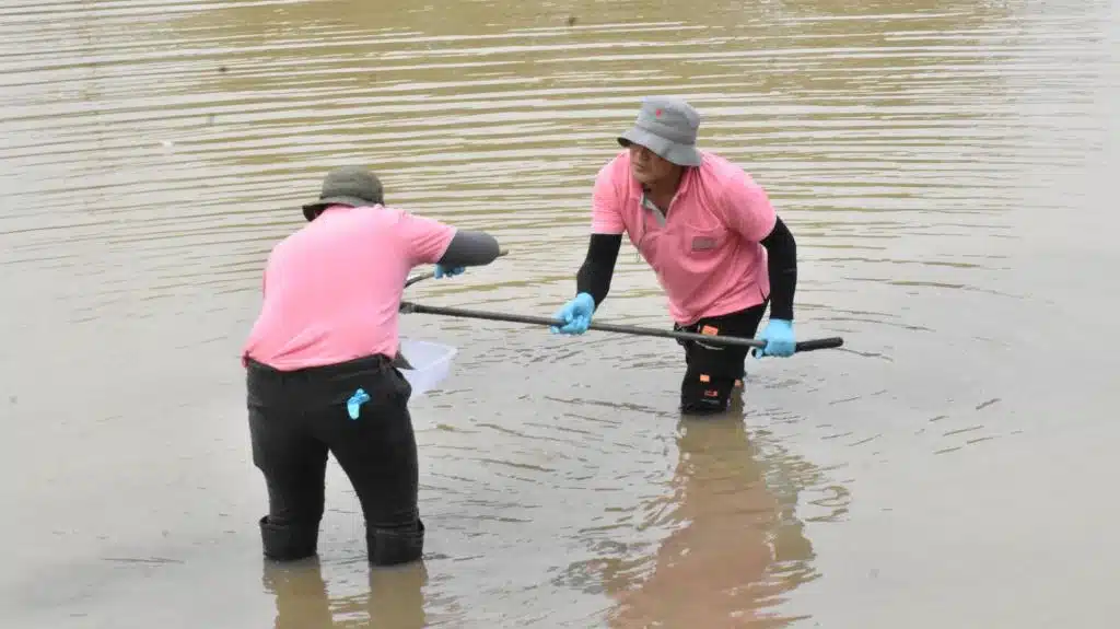 Chiang Rai Tests Kok River for Cyanide Contamination