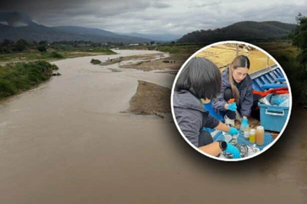 Chiang Rai, Kok River, Arsenic