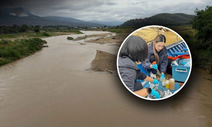 Chiang Rai, Kok River, Arsenic