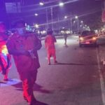 French Tourist Struck and Killed on Zebra Crossing By Speeding Sedan