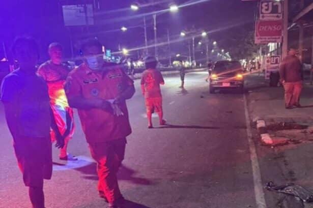 French Tourist Struck and Killed on Zebra Crossing By Speeding Sedan