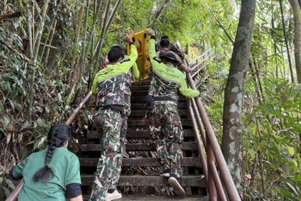 Landslide at Khao Yai National Park