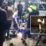 Rescue Volunteer Attacked By Python While Rescuing Cat