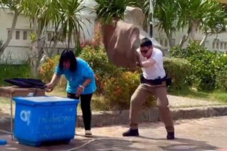 Policeman Saves Woman from Attacking Bees