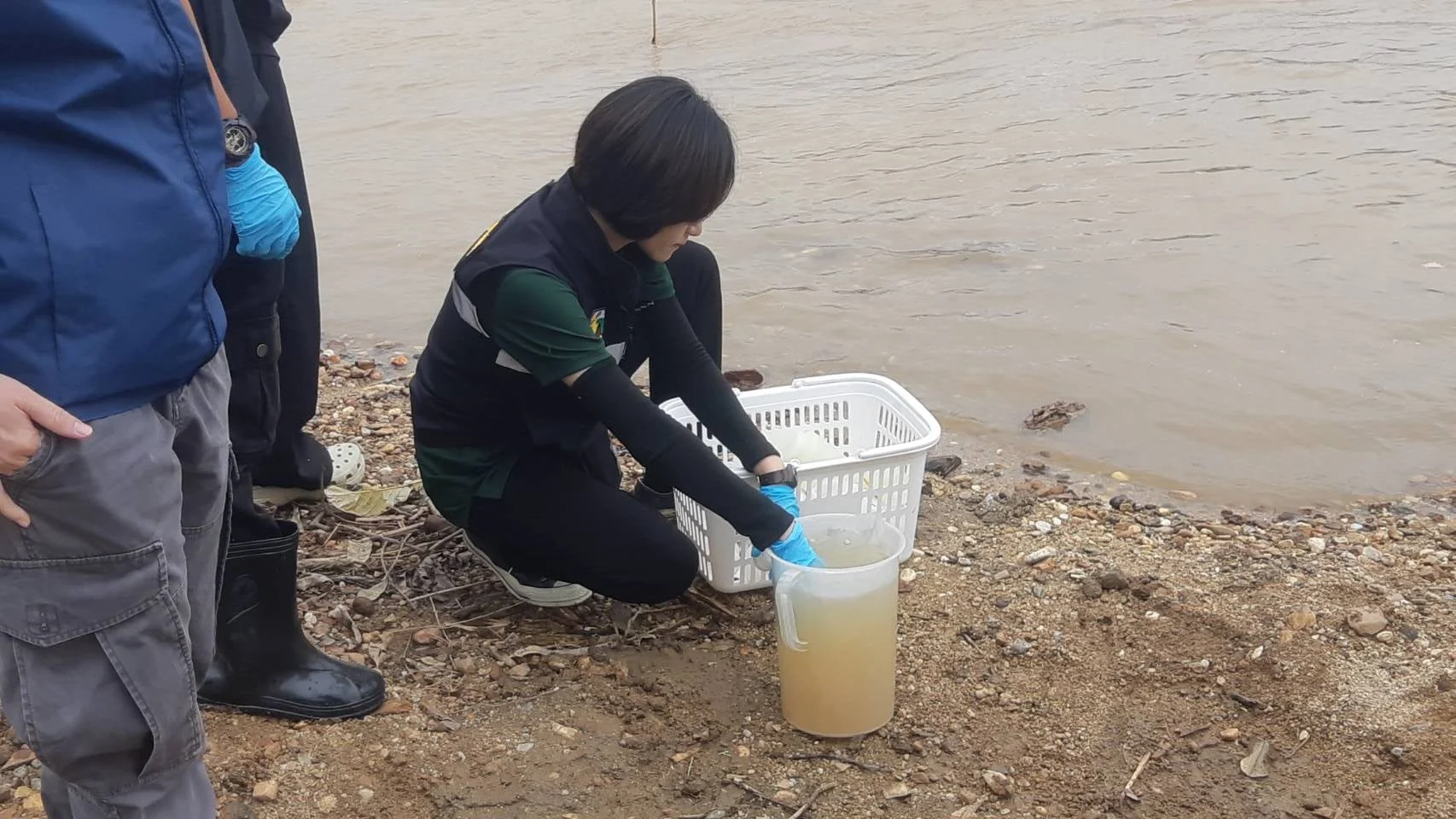 mercury Kok River 