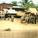 Chiang Rai Rummit Elephant Camp, Kok River