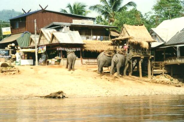 Chiang Rai Rummit Elephant Camp, Kok River