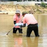 Arsenic in Mae Kok River Soil Samples