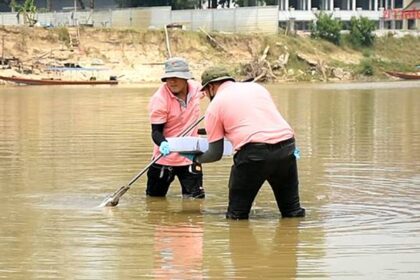 Arsenic in Mae Kok River Soil Samples
