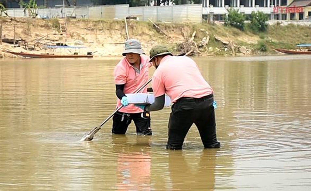 Arsenic in Mae Kok River Soil Samples