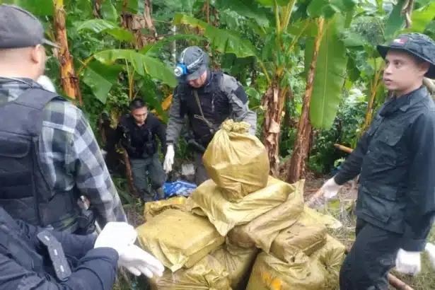 Police Drug Seizure Chiang Mai