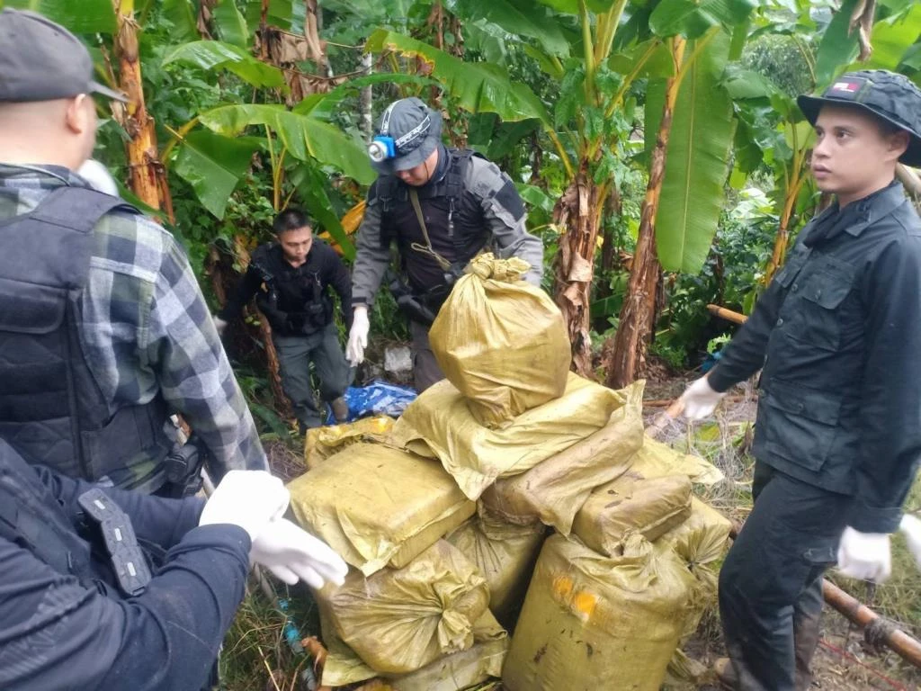 Police Drug Seizure Chiang Mai