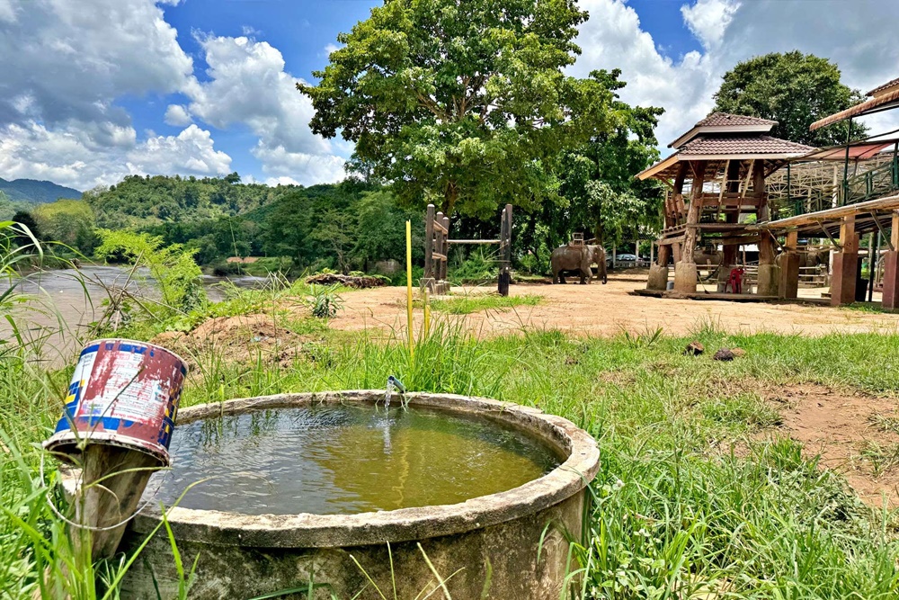 Chiang Rai Ruammitr elephant camp, kok river
