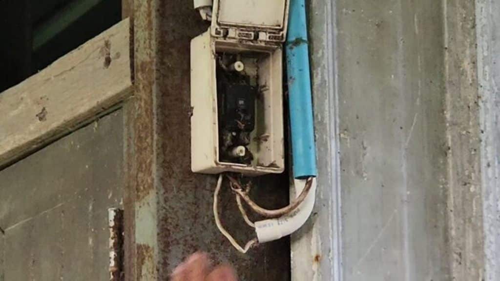 Family and Pet Dog Found Electrocuted