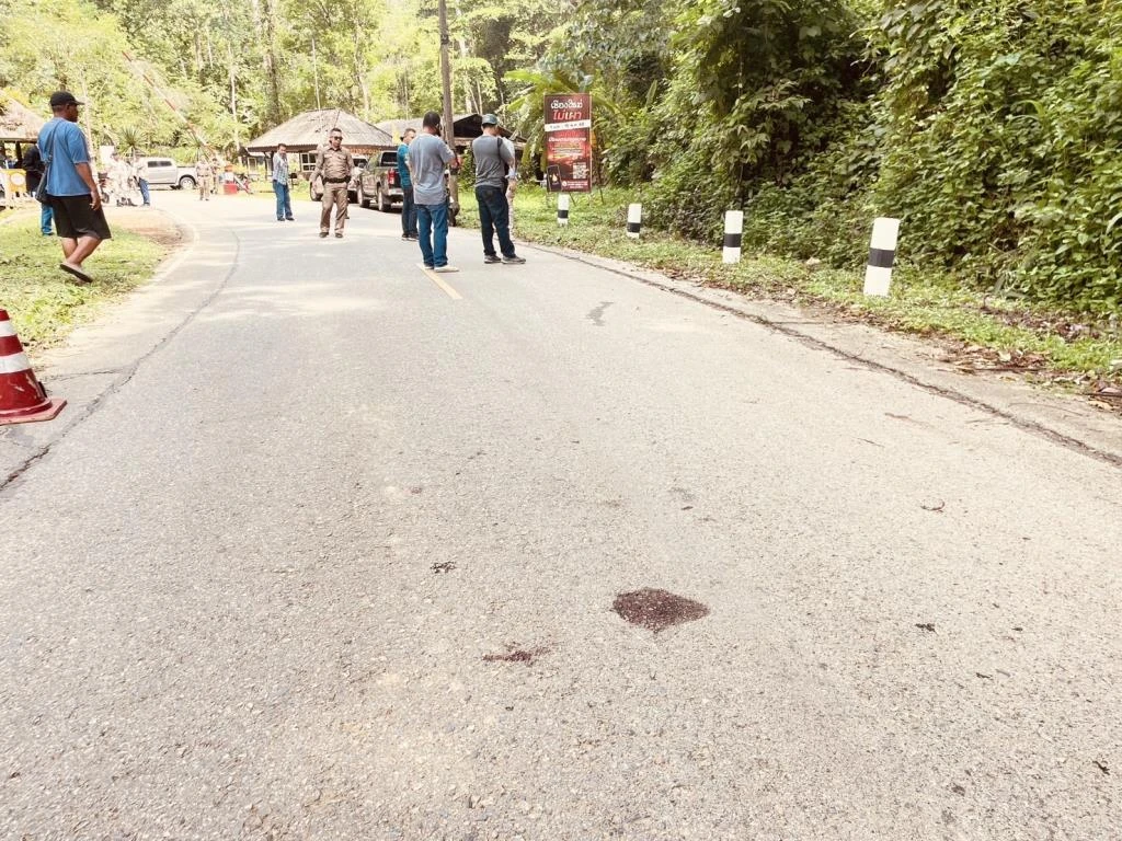 Forest Ranger Shoots Supervisor and Colleague in Chiang Mai
