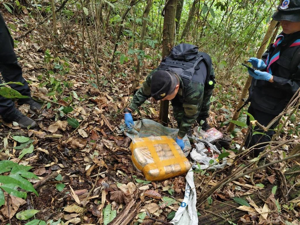 Pha Muang Task Force 