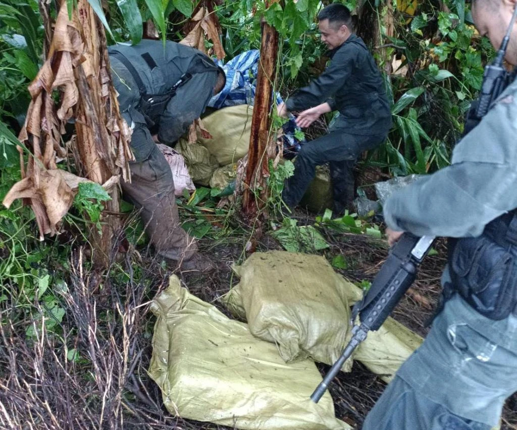 Drugs Seized Chiang Mai