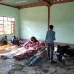 Myanmar junta airstrike kills 17 school children