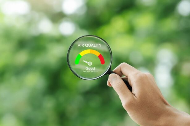 Air Quality Assessments