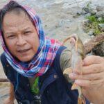 Chiang Rai Residents Warned Over Fish