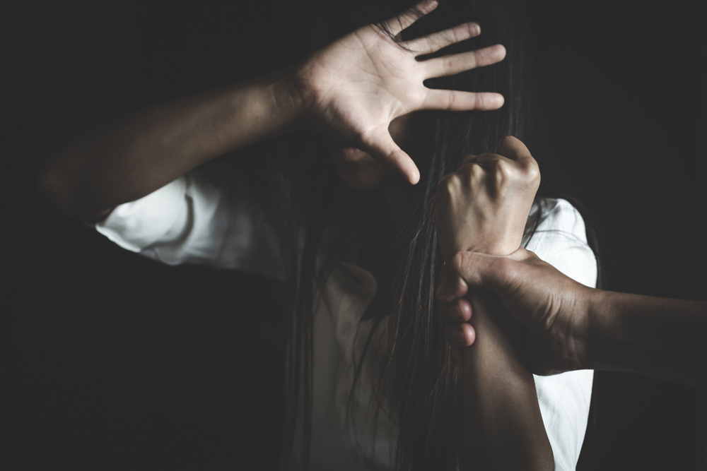 Domestic Violence Protection Act of 2007 