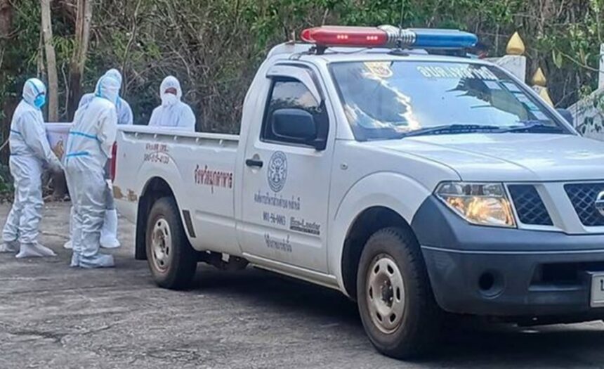 Anthrax, Mukdahan province, Thailand