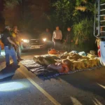 Police Seize Half a Tonne of Crystal Meth, Suspects Escape