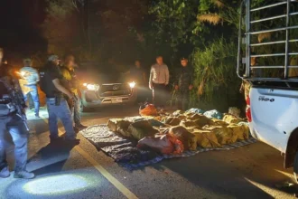Police Seize Half a Tonne of Crystal Meth, Suspects Escape