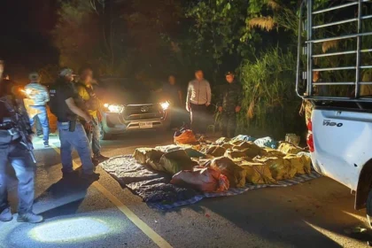 Police Seize Half a Tonne of Crystal Meth, Suspects Escape