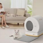 Self-Cleaning Litter Box